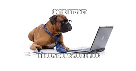 On the internet nobody knows you are a dog